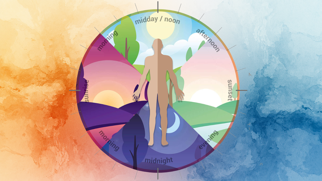 The WHO Says Circadian Disruption Is Probably Carcinogenic - What this means for your home