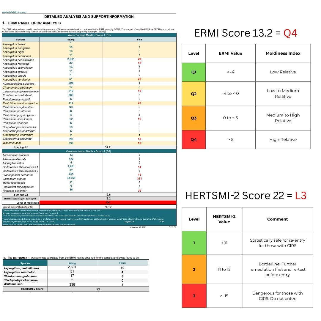 What Does an ERMI Lab Report Actually Show? A Real Case Study Breakdown