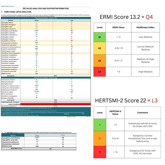 What Does an ERMI Lab Report Actually Show? A Real Case Study Breakdown