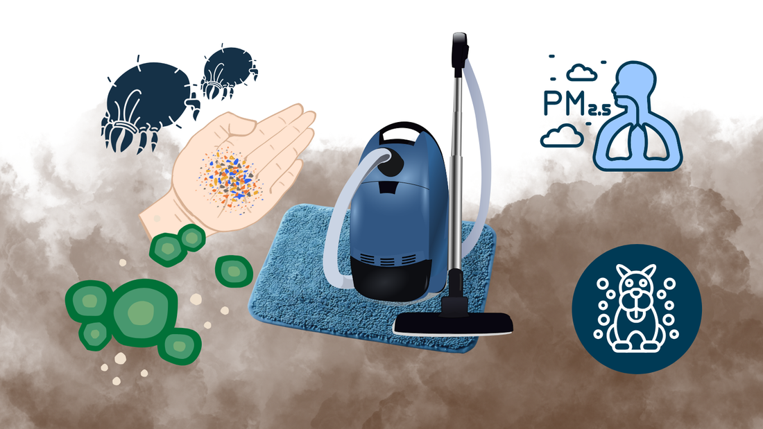 Vacuuming for a Healthy Home: Why It Matters More Than You Think