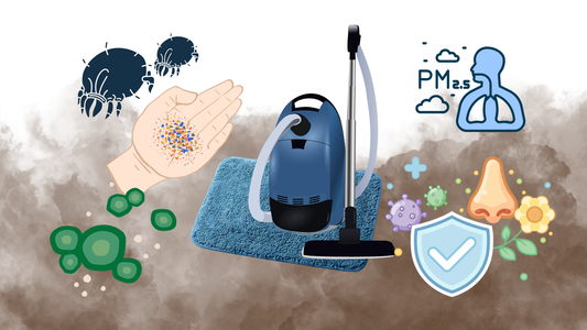 Why Vacuuming Is Not a Chore
