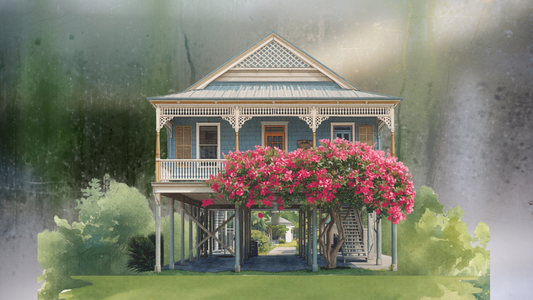 Why Humid Homes Make People Sick