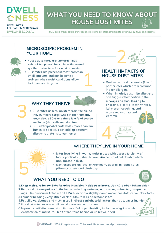 What You Need to Know about House Dust Mites