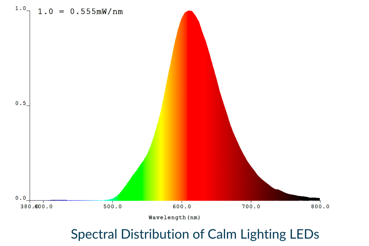 Calm Lighting – DWELLNESS